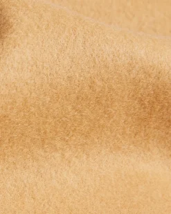 Lottiea